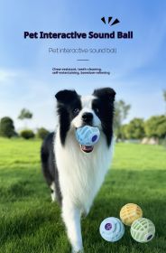 Pet Interactive Sound Ball, Dog Cat Pet Voice Ball,Interactive Pet Squeaky Toys