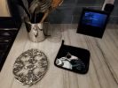 Boston Terrier Spot In The Sun Pair of Pot Holders Kitchen Heat Resistant Pot Holders Sets Oven Hot Pads for Cooking Baking BBQ, 7 1/2 x 7 1/2